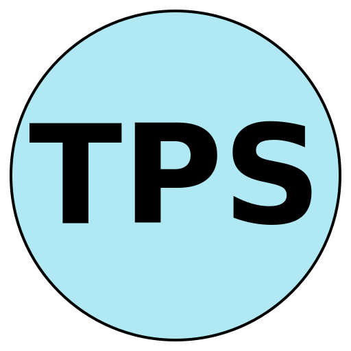 TravelPro Strategies